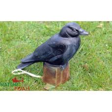 Natur Foam RAVEN